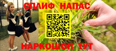 прущие грибы Ирбит
