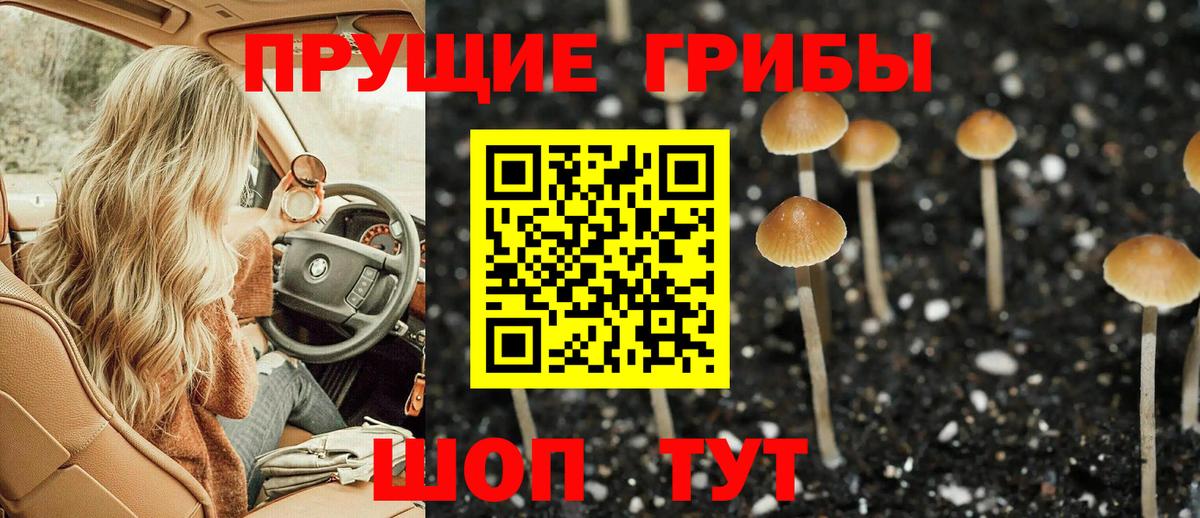 Галлюциногенные грибы мухоморы Краснодар