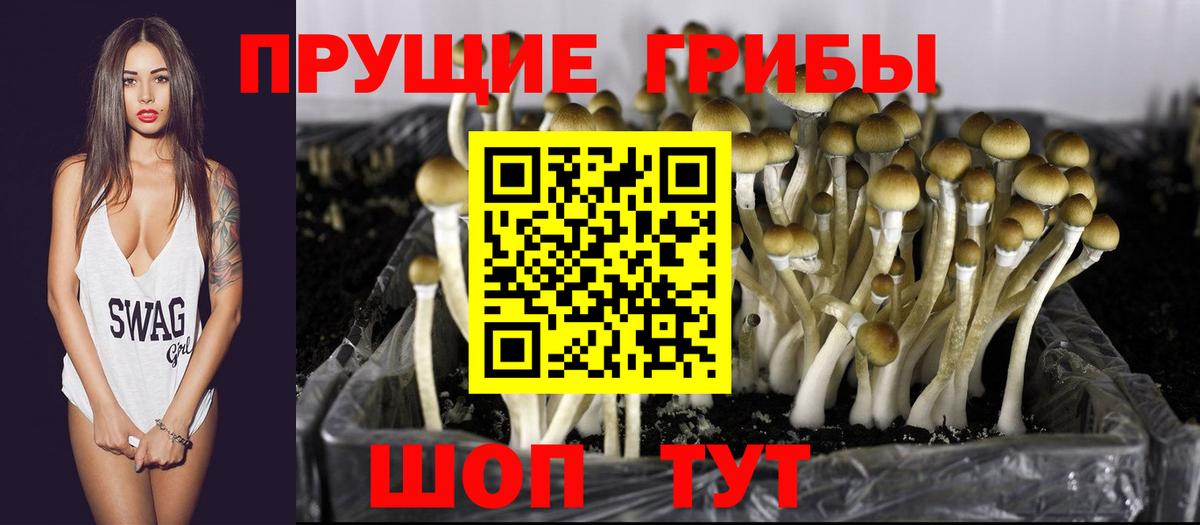Краснодар  Псилоцибиновые грибы Magic Shrooms  Вход с VPN  Псилоцибиновые грибы прущие грибы 